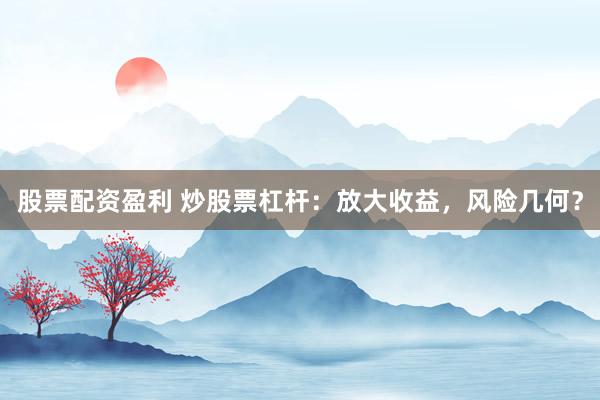 股票配资盈利 炒股票杠杆：放大收益，风险几何？