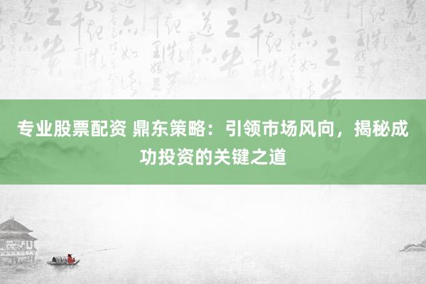 专业股票配资 鼎东策略：引领市场风向，揭秘成功投资的关键之道