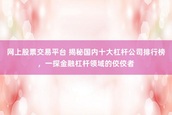 网上股票交易平台 揭秘国内十大杠杆公司排行榜，一探金融杠杆领域的佼佼者