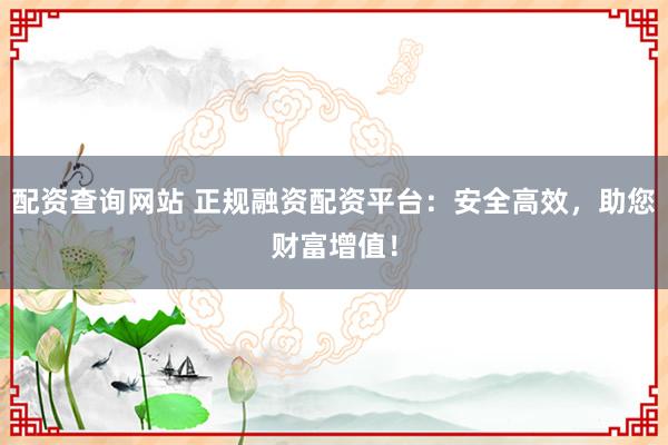 配资查询网站 正规融资配资平台：安全高效，助您财富增值！