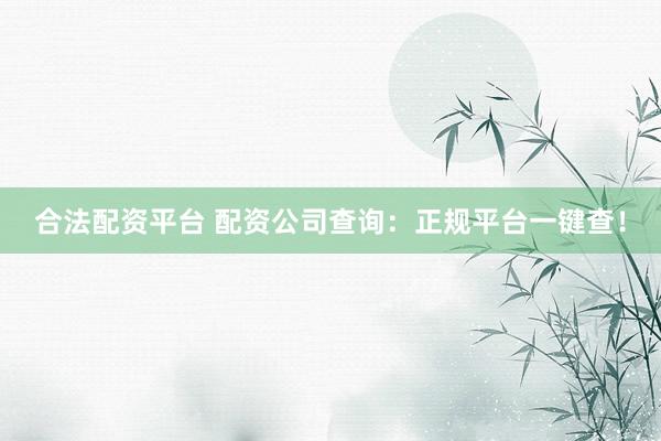 合法配资平台 配资公司查询：正规平台一键查！