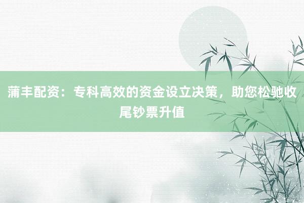 蒲丰配资：专科高效的资金设立决策，助您松驰收尾钞票升值