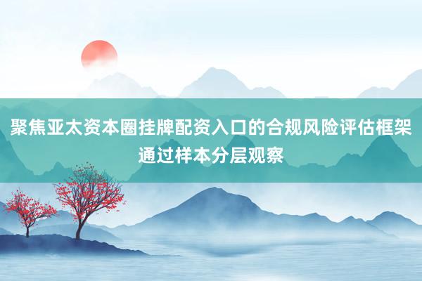 聚焦亚太资本圈挂牌配资入口的合规风险评估框架通过样本分层观察