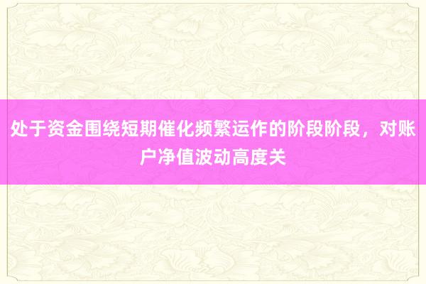处于资金围绕短期催化频繁运作的阶段阶段，对账户净值波动高度关