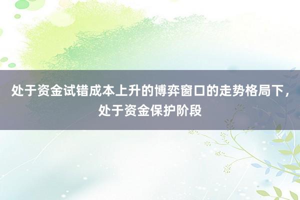 处于资金试错成本上升的博弈窗口的走势格局下，处于资金保护阶段