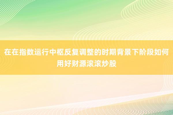 在在指数运行中枢反复调整的时期背景下阶段如何用好财源滚滚炒股