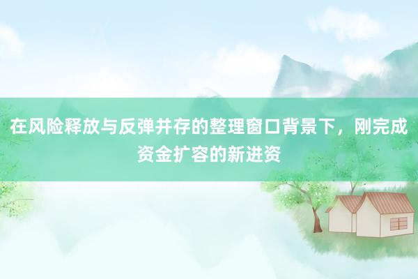 在风险释放与反弹并存的整理窗口背景下，刚完成资金扩容的新进资