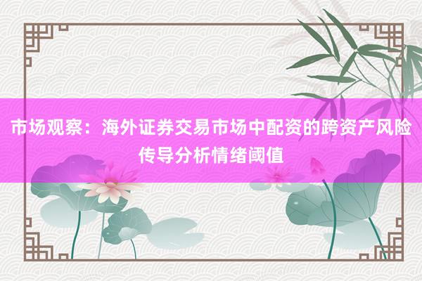 市场观察：海外证券交易市场中配资的跨资产风险传导分析情绪阈值
