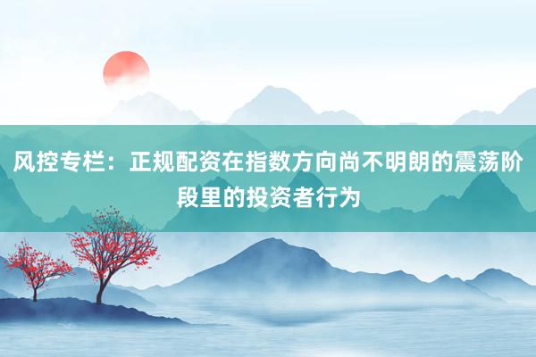 风控专栏：正规配资在指数方向尚不明朗的震荡阶段里的投资者行为