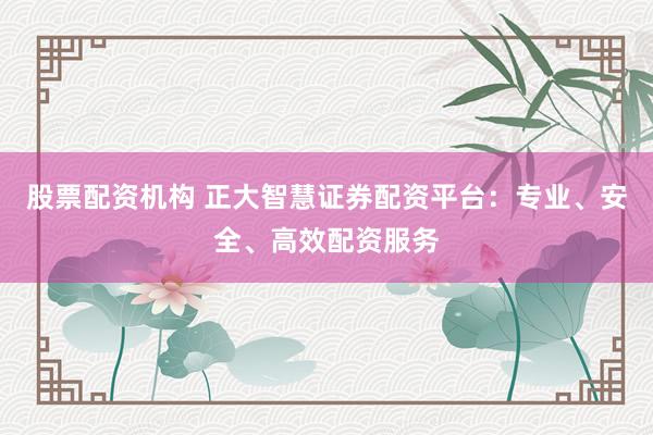 股票配资机构 正大智慧证券配资平台：专业、安全、高效配资服务