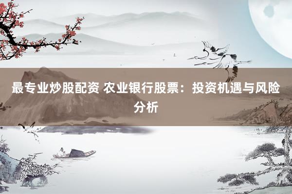 最专业炒股配资 农业银行股票：投资机遇与风险分析