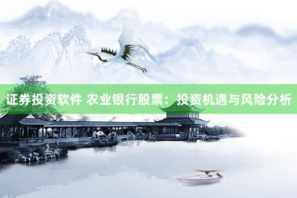 证券投资软件 农业银行股票：投资机遇与风险分析